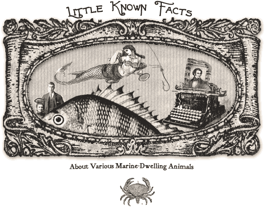 Little Known Facts About Various Marine-Dwelling Animals: the book